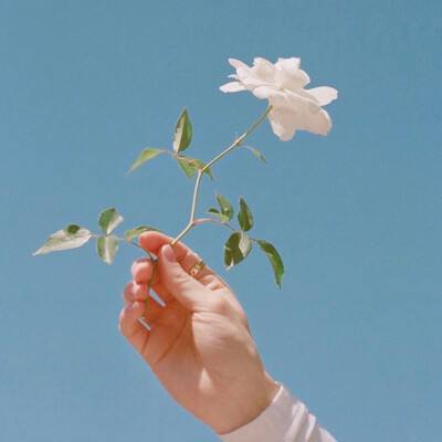 萌妖天团最新版下载