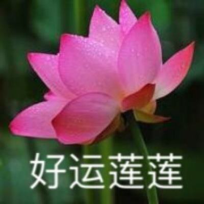 百度圣域契约3d手机版下载